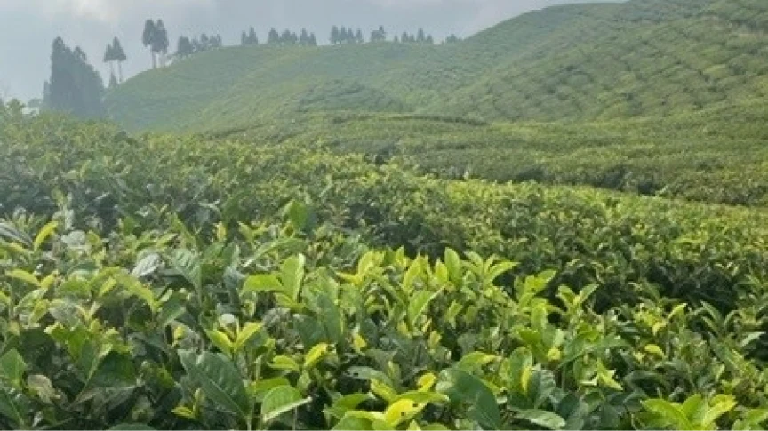 Global Environmental Policy Statement