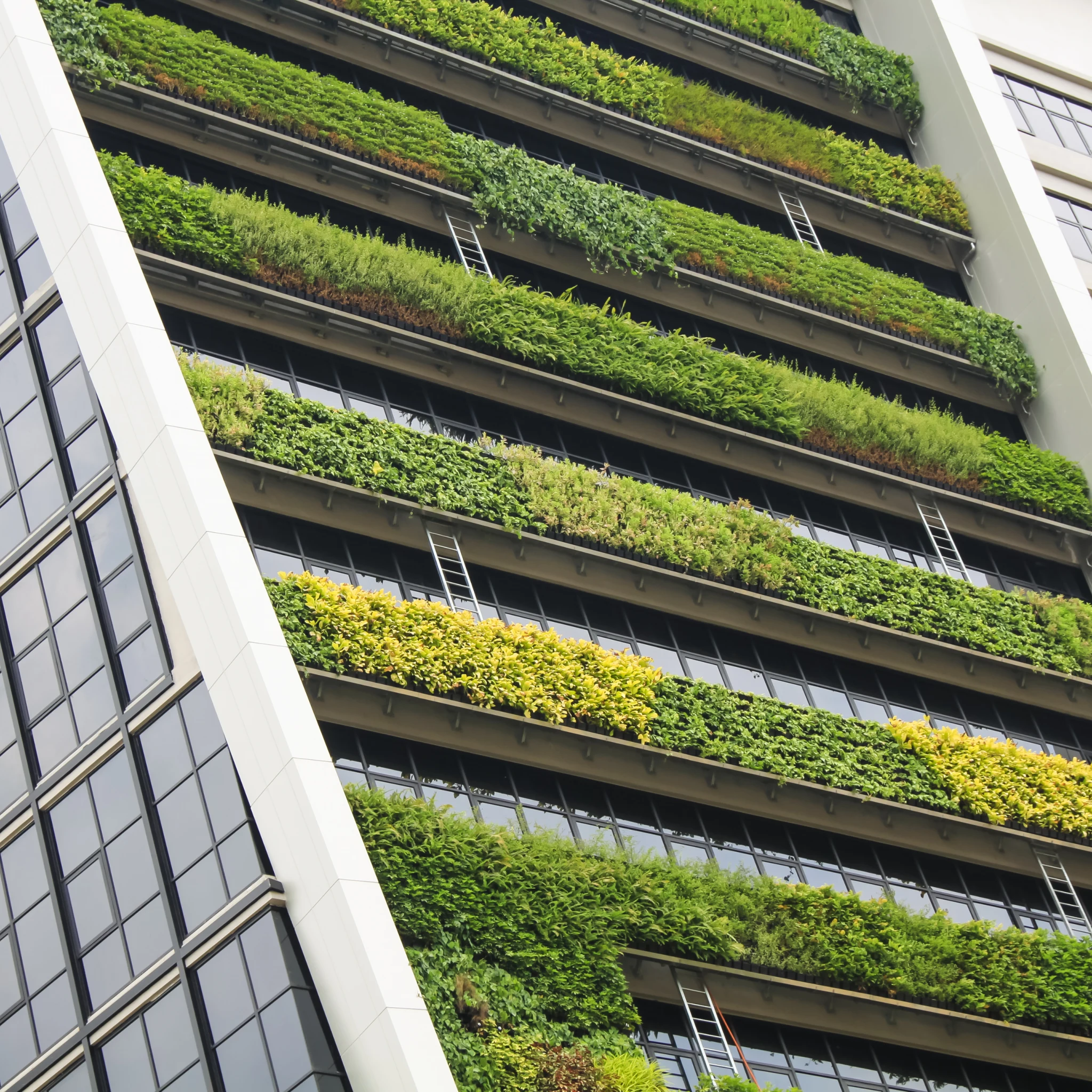 Reduce financed emissions for real estate