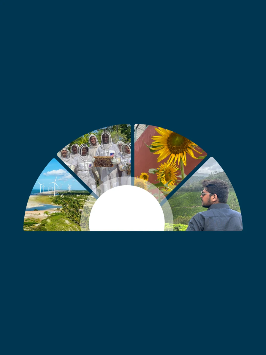 Ambition Toward Net Zero